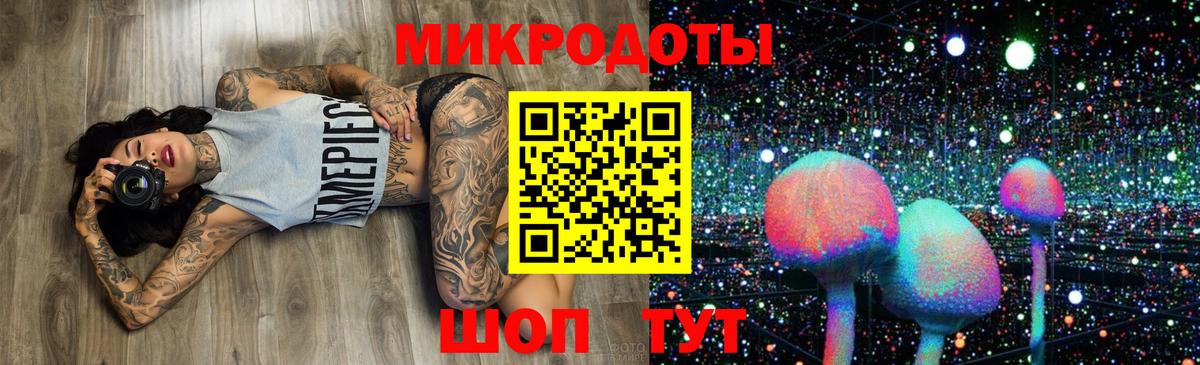 Нижний Тагил  Псилоцибиновые грибы Cubensis  Вход с VPN  Псилоцибиновые грибы Psilocybine cubensis 