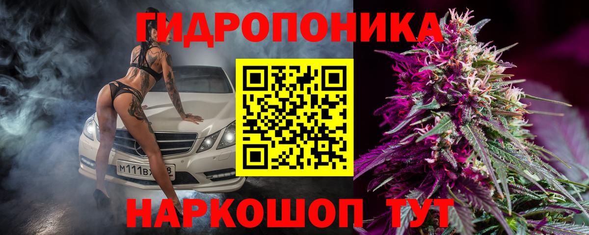 Марихуана план  Вход с VPN  Каннабис тримм  Нижний Тагил 